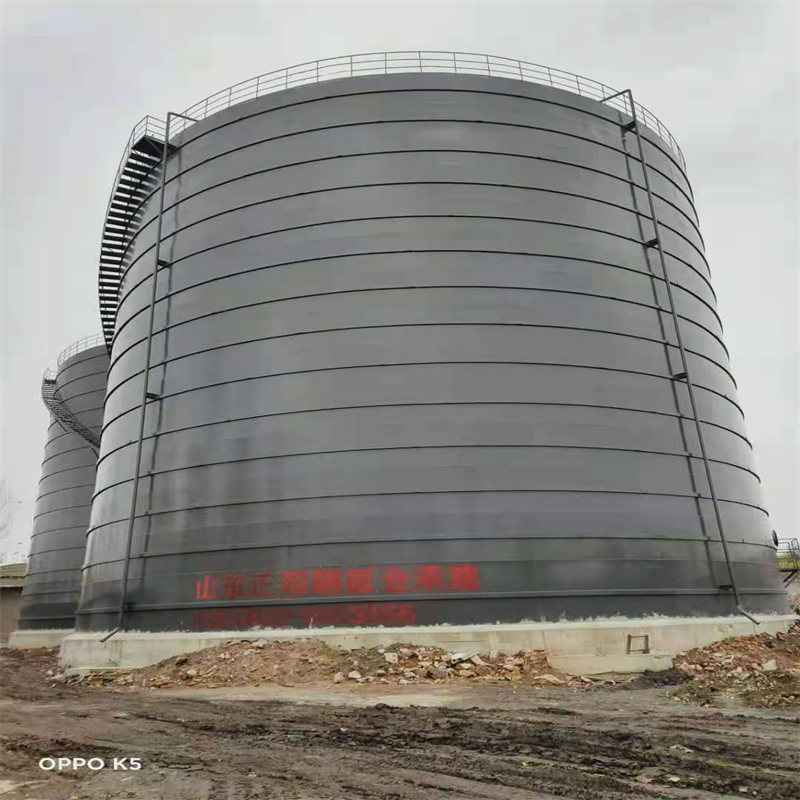 沙湾3万吨大型钢板库